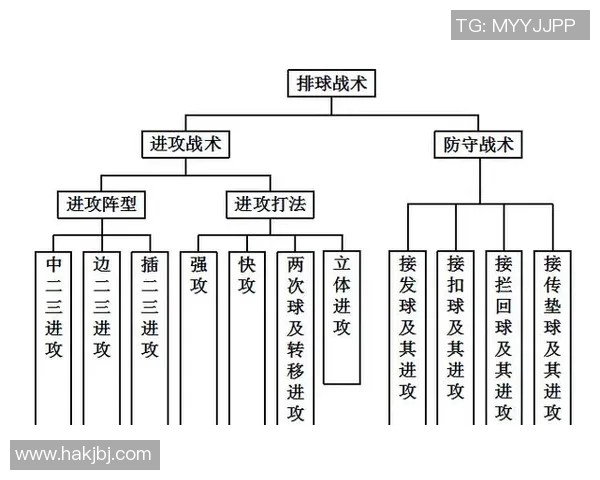 深入分析北京排球队快攻战术的特点与优势