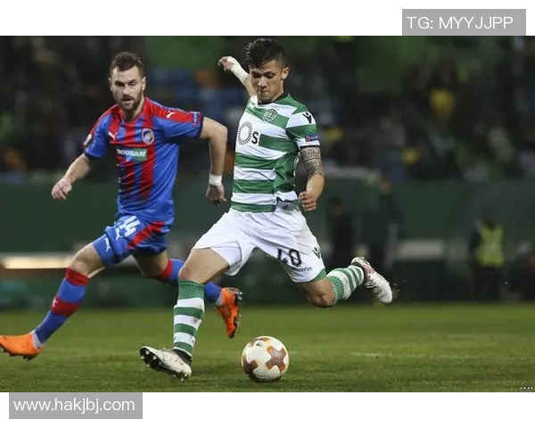 本菲卡与塞萨洛精彩对决录像回放及赛后分析分享