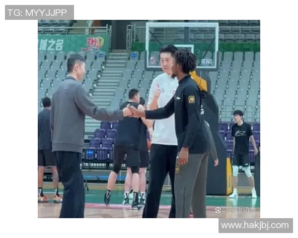 辽宁与新疆队精彩对决回放分析及赛后点评