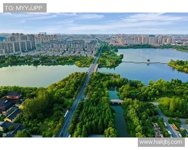 伐木者与盐城湖的对抗:生态保护与资源开发的博弈与思考 伐木者与盐城湖的对抗:生态保护与资源开发的博弈与思考