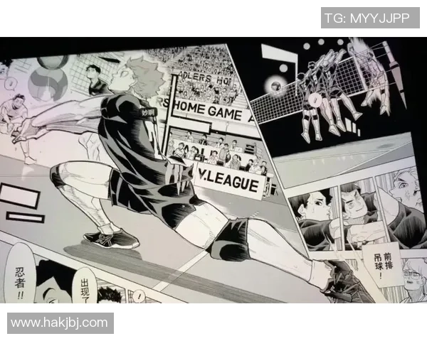 从零起步掌握排球技巧与战术全解析助你成为排球高手MBA